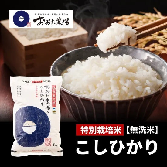 新潟県産 特別栽培米コシヒカリ従来品種 無洗米5kg｜農家直送 - おおた