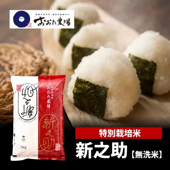 令和7年産 特別栽培米新之助 【無洗米】5kg – おおた農場オンラインストア