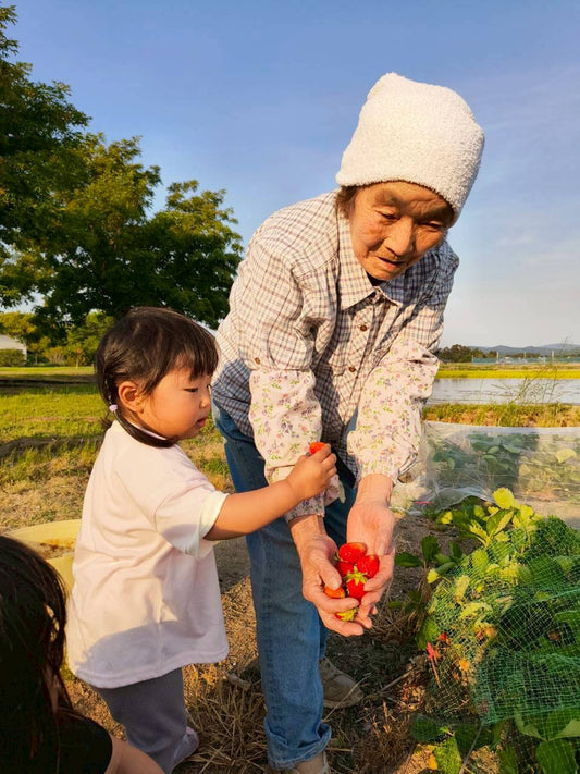 米農家の6月、田植え完了！そして180万円の痛手…【農場だより6月号】
