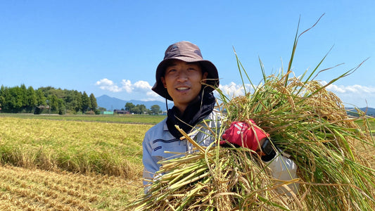 令和8年産・新米の予約販売を開始しました【一部訂正版】