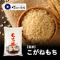 令和7年産　こがねもち　【玄米】5kg