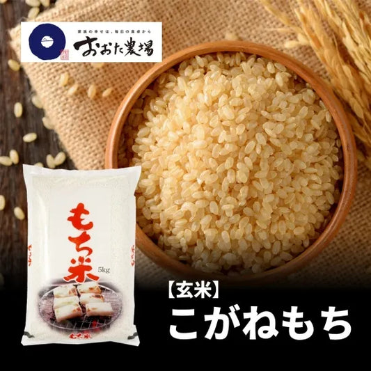 令和7年産　こがねもち　【玄米】5kg