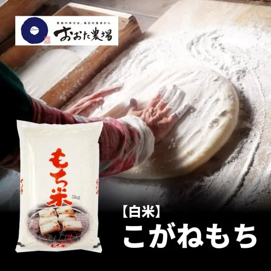 令和7年産 こがねもち 【白米】5kg – おおた農場オンラインストア