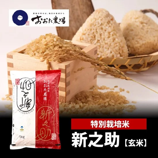 新潟県産 特別栽培米新之助 玄米5kg｜大粒で濃厚 通販 - おおた農場