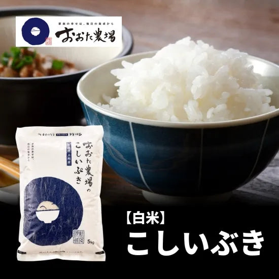 令和7年産　こしいぶき　【白米】5kg