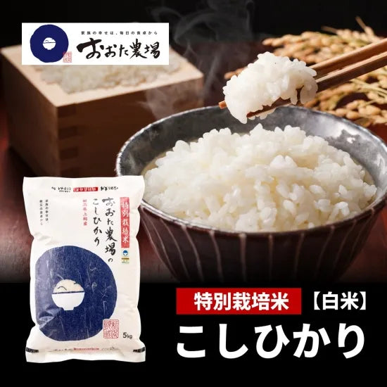 令和7年産　特別栽培米コシヒカリ ≪従来品種≫　【白米】5kg