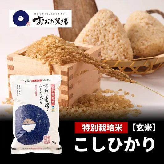 令和7年産　特別栽培米コシヒカリ ≪従来品種≫　【玄米】5kg
